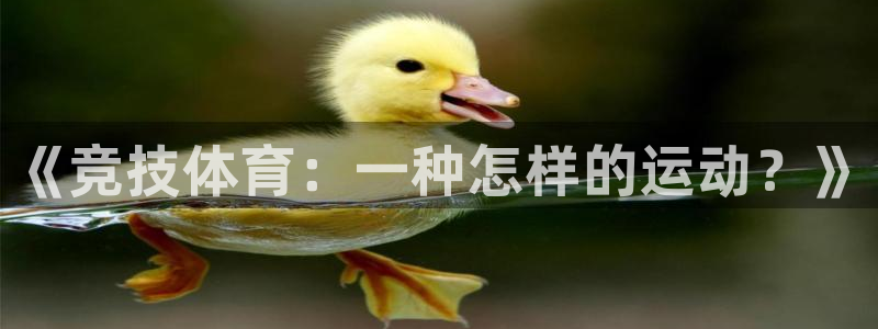 《竞技体育：一种怎样的运动？》