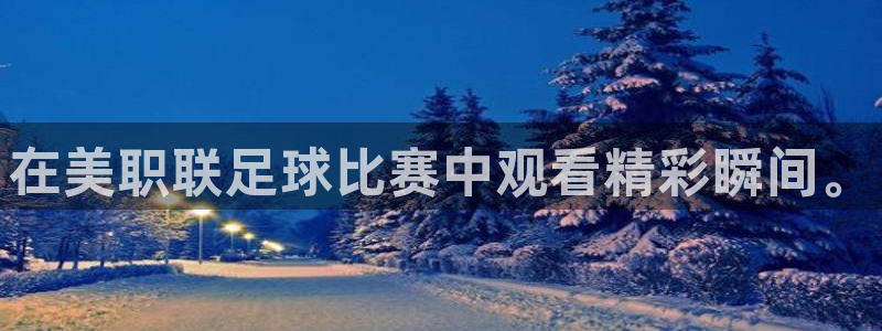 在美职联足球比赛中观看精彩瞬间。