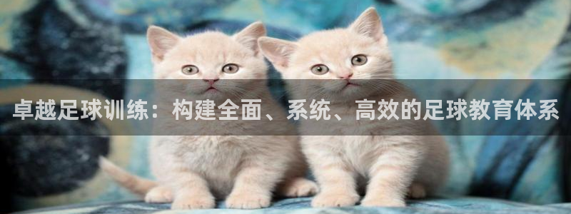 卓越足球训练：构建全面、系统、高效的足球教育体系
