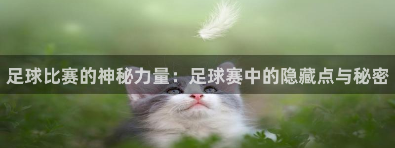 足球比赛的神秘力量：足球赛中的隐藏点与秘密