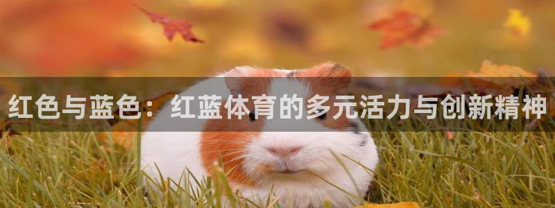 红色与蓝色：红蓝体育的多元活力与创新精神