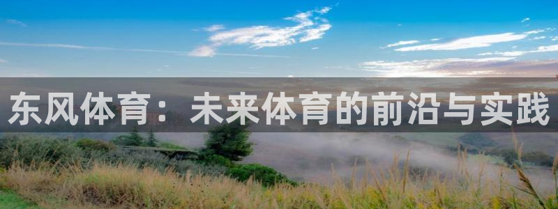 东风体育：未来体育的前沿与实践