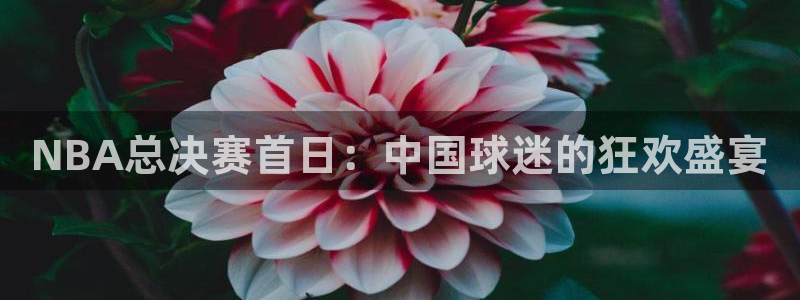 NBA总决赛首日：中国球迷的狂欢盛宴