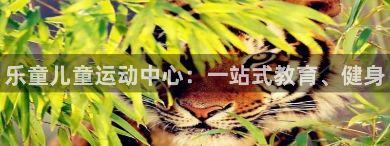 意昂5Kgame2体育登录入口：乐童儿童运动中心：一站式教育、健身